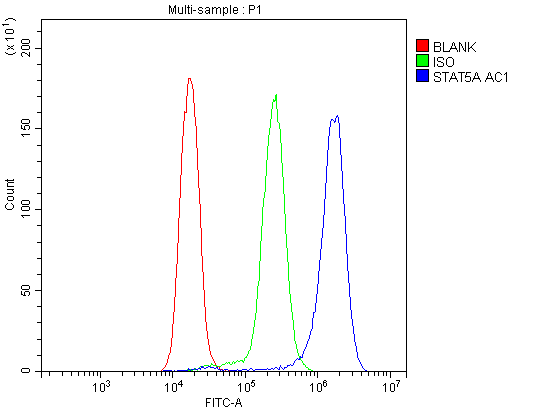 STAT5A Antibody - Flow Cytometry analysis of Jurkat cells using anti-STAT5A antibody. Overlay histogram showing Jurkat cells stained with anti-STAT5A antibody (Blue line). The cells were blocked with 10% normal goat serum. And then incubated with rabbit anti-STAT5A Antibody (1µg/10E6 cells) for 30 min at 20°C. DyLight®488 conjugated goat anti-rabbit IgG (5-10µg/10E6 cells) was used as secondary antibody for 30 minutes at 20°C. Isotype control antibody (Green line) was rabbit IgG (1µg/10E6 cells) used under the same conditions. Unlabelled sample (Red line) was also used as a control.