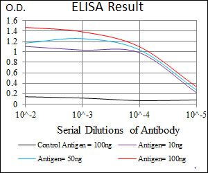 STAT5A Antibody - Red: Control Antigen (100ng); Purple: Antigen (10ng); Green: Antigen (50ng); Blue: Antigen (100ng);