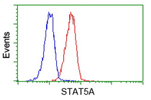 STAT5A Antibody - Flow cytometry of Jurkat cells, using anti-STAT5A antibody (Red), compared to a nonspecific negative control antibody (Blue).