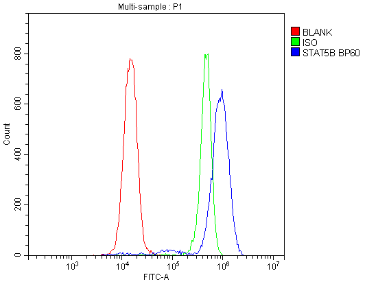 STAT5B Antibody - Flow Cytometry analysis of Jurkat cells using anti-STAT5b antibody. Overlay histogram showing Jurkat cells stained with anti-STAT5b antibody (Blue line). The cells were blocked with 10% normal goat serum. And then incubated with rabbit anti-STAT5b Antibody (1µg/10E6 cells) for 30 min at 20°C. DyLight®488 conjugated goat anti-rabbit IgG (5-10µg/10E6 cells) was used as secondary antibody for 30 minutes at 20°C. Isotype control antibody (Green line) was rabbit IgG (1µg/10E6 cells) used under the same conditions. Unlabelled sample (Red line) was also used as a control.