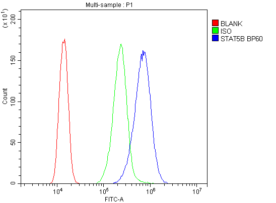 STAT5B Antibody - Flow Cytometry analysis of A431 cells using anti-STAT5b antibody. Overlay histogram showing A431 cells stained with anti-STAT5b antibody (Blue line). The cells were blocked with 10% normal goat serum. And then incubated with rabbit anti-STAT5b Antibody (1µg/10E6 cells) for 30 min at 20°C. DyLight®488 conjugated goat anti-rabbit IgG (5-10µg/10E6 cells) was used as secondary antibody for 30 minutes at 20°C. Isotype control antibody (Green line) was rabbit IgG (1µg/10E6 cells) used under the same conditions. Unlabelled sample (Red line) was also used as a control.