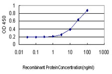 STAU1 / Staufen Antibody - Detection limit for recombinant GST tagged STAU1 is approximately 1 ng/ml as a capture antibody.