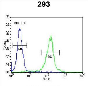 STEAP2 Antibody - STEA2 Antibody flow cytometry of 293 cells (right histogram) compared to a negative control cell (left histogram). FITC-conjugated goat-anti-rabbit secondary antibodies were used for the analysis.