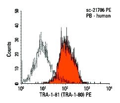 Stem Cell Marker TRA-1-81 Antibody -  This image was taken for the unconjugated form of this product. Other forms have not been tested.