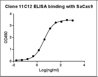 Streptococcus pyogenes CRISPR-associated endonuclease Cas9/Csn1 Antibody - ELISA binding of SaCas9 Antibody (11C12) with recombinant Staphylococcus aureus CRISPR/Cas9 protein. Coating antigen: SaCas9, 1 ug/ml. SaCas9 antibody dilution start from 1000 ng/ml,EC50= 3.75 ng/ml.