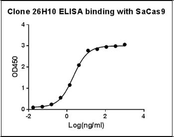 Streptococcus pyogenes CRISPR-associated endonuclease Cas9/Csn1 Antibody - ELISA binding of SaCas9 Antibody (26H10) with recombinant Staphylococcus aureus CRISPR/Cas9 protein. Coating antigen: SaCas9, 1 ug/ml. SaCas9 antibody dilution start from 1000 ng/ml,EC50= 2.109 ng/ml.
