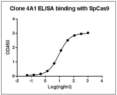 Streptococcus pyogenes CRISPR-associated endonuclease Cas9/Csn1 Antibody - ELISA binding of SpCas9 Antibody (4A1) with recombinant Streptococcus pyogenes CRISPR/Cas9 protein. Coating antigen: SpCas9, 1 ug/ml. SpCas9 antibody dilution start from 1000 ng/ml, EC50= 9.17 ng/ml.