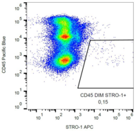 STRO-1 Antibody - Surface staining of human peripheral blood with anti-STRO-1 (STRO-1) APC.