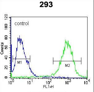 STX16 / Syntaxin 16 Antibody - STX16 Antibody flow cytometry of 293 cells (right histogram) compared to a negative control cell (left histogram). FITC-conjugated goat-anti-rabbit secondary antibodies were used for the analysis.
