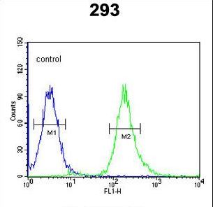 STX1A / Syntaxin 1A Antibody - STX1A Antibody flow cytometry of 293 cells (right histogram) compared to a negative control cell (left histogram). FITC-conjugated goat-anti-rabbit secondary antibodies were used for the analysis.