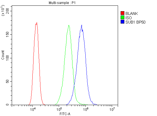 SUB1 Antibody - Flow Cytometry analysis of A431 cells using anti-PC4 antibody. Overlay histogram showing A431 cells stained with anti-PC4 antibody (Blue line). The cells were blocked with 10% normal goat serum. And then incubated with rabbit anti-PC4 Antibody (1µg/10E6 cells) for 30 min at 20°C. DyLight®488 conjugated goat anti-rabbit IgG (5-10µg/10E6 cells) was used as secondary antibody for 30 minutes at 20°C. Isotype control antibody (Green line) was rabbit IgG (1µg/10E6 cells) used under the same conditions. Unlabelled sample (Red line) was also used as a control.
