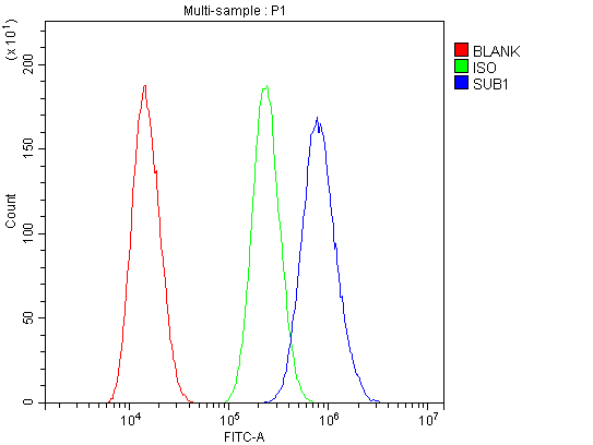 SUB1 Antibody - Flow Cytometry analysis of U87 cells using anti-PC4 antibody. Overlay histogram showing U87 cells stained with anti-PC4 antibody (Blue line). The cells were blocked with 10% normal goat serum. And then incubated with rabbit anti-PC4 Antibody (1µg/10E6 cells) for 30 min at 20°C. DyLight®488 conjugated goat anti-rabbit IgG (5-10µg/10E6 cells) was used as secondary antibody for 30 minutes at 20°C. Isotype control antibody (Green line) was rabbit IgG (1µg/10E6 cells) used under the same conditions. Unlabelled sample (Red line) was also used as a control.
