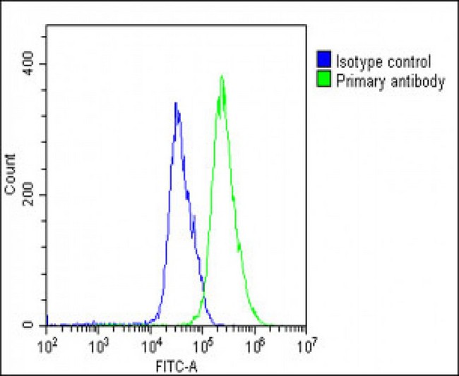 Sulfatase 1 / SULF1 Antibody - Overlay histogram showing U-251 MG cells stained with SULF1 Antibody (C-Term) (green line). The cells were fixed with 2% paraformaldehyde (10 min) and then permeabilized with 90% methanol for 10 min. The cells were then icubated in 2% bovine serum albumin to block non-specific protein-protein interactions followed by the antibody (SULF1 Antibody (C-Term), 1:25 dilution) for 60 min at 37°C. The secondary antibody used was Goat-Anti-Rabbit IgG, DyLight® 488 Conjugated Highly Cross-Adsorbed (1583138) at 1/200 dilution for 40 min at 37°C. Isotype control antibody (blue line) was rabbit IgG1 (1µg/1x10^6 cells) used under the same conditions. Acquisition of >10, 000 events was performed.