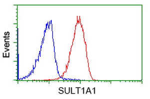 SULT1A1 / Sulfotransferase 1A1 Antibody - Flow cytometry of Jurkat cells, using anti-SULT1A1 antibody (Red), compared to a nonspecific negative control antibody (Blue).