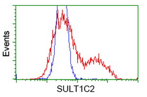 SULT1C2 / Sulfotransferase 1C2 Antibody - HEK293T cells transfected with either overexpress plasmid (Red) or empty vector control plasmid (Blue) were immunostained by anti-SULT1C2 antibody, and then analyzed by flow cytometry.