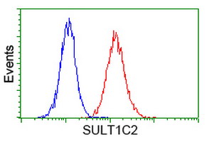 SULT1C2 / Sulfotransferase 1C2 Antibody - Flow cytometry of Jurkat cells, using anti-SULT1C2 antibody (Red), compared to a nonspecific negative control antibody (Blue).