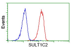 SULT1C2 / Sulfotransferase 1C2 Antibody - Flow cytometry of HeLa cells, using anti-SULT1C2 antibody (Red), compared to a nonspecific negative control antibody (Blue).