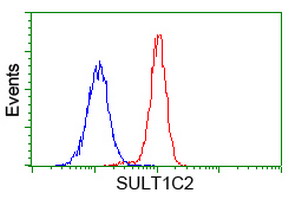 SULT1C2 / Sulfotransferase 1C2 Antibody - Flow cytometry of Jurkat cells, using anti-SULT1C2 antibody (Red), compared to a nonspecific negative control antibody (Blue).