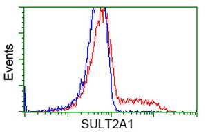 SULT2A1 / Sulfotransferase 2A1 Antibody - HEK293T cells transfected with either overexpress plasmid (Red) or empty vector control plasmid (Blue) were immunostained by anti-SULT2A1 antibody, and then analyzed by flow cytometry.