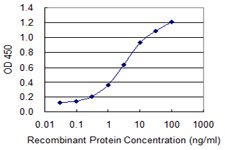 SUMO1 / SMT3 Antibody - Detection limit for recombinant GST tagged SUMO1 is 0.1 ng/ml as a capture antibody.