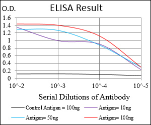 SYCP3 / SCP3 Antibody - Red: Control Antigen (100ng); Purple: Antigen (10ng); Green: Antigen (50ng); Blue: Antigen (100ng);