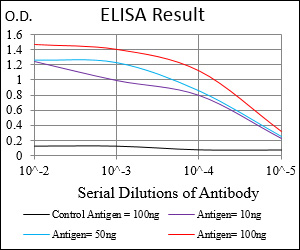 SYCP3 / SCP3 Antibody - Red: Control Antigen (100ng); Purple: Antigen (10ng); Green: Antigen (50ng); Blue: Antigen (100ng);