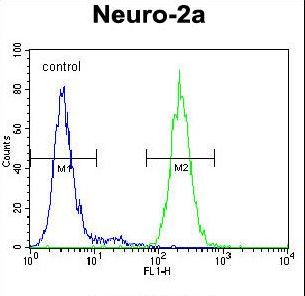 SYP / Synaptophysin Antibody - SYP Antibody flow cytometry of Neuro-2a cells (right histogram) compared to a negative control cell (left histogram). FITC-conjugated goat-anti-rabbit secondary antibodies were used for the analysis.