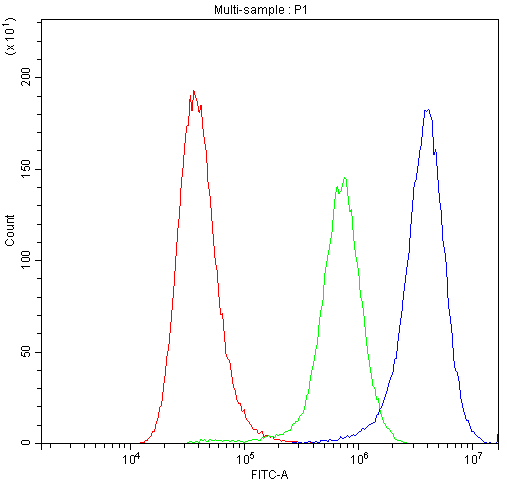 SYT1 / Synaptotagmin Antibody - Flow Cytometry analysis of A549 cells using anti-Synaptotagmin 1 antibody. Overlay histogram showing A549 cells stained with anti-Synaptotagmin 1 antibody (Blue line). The cells were blocked with 10% normal goat serum. And then incubated with rabbit anti-Synaptotagmin 1 Antibody (1µg/10E6 cells) for 30 min at 20°C. DyLight®488 conjugated goat anti-rabbit IgG (5-10µg/10E6 cells) was used as secondary antibody for 30 minutes at 20°C. Isotype control antibody (Green line) was rabbit IgG (1µg/10E6 cells) used under the same conditions. Unlabelled sample (Red line) was also used as a control.