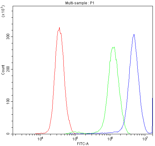 SYT1 / Synaptotagmin Antibody - Flow Cytometry analysis of PC-3 cells using anti-Synaptotagmin 1 antibody. Overlay histogram showing PC-3 cells stained with anti-Synaptotagmin 1 antibody (Blue line). The cells were blocked with 10% normal goat serum. And then incubated with rabbit anti-Synaptotagmin 1 Antibody (1µg/10E6 cells) for 30 min at 20°C. DyLight®488 conjugated goat anti-rabbit IgG (5-10µg/10E6 cells) was used as secondary antibody for 30 minutes at 20°C. Isotype control antibody (Green line) was rabbit IgG (1µg/10E6 cells) used under the same conditions. Unlabelled sample (Red line) was also used as a control.
