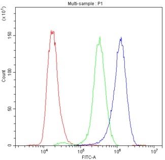 SYT1 / Synaptotagmin Antibody - Flow Cytometry analysis of LLC cells using anti-Synaptotagmin 1 antibody. Overlay histogram showing LLC cells stained with anti-Synaptotagmin 1 antibody (Blue line). The cells were blocked with 10% normal goat serum. And then incubated with rabbit anti-Synaptotagmin 1 Antibody (1µg/10E6 cells) for 30 min at 20°C. DyLight®488 conjugated goat anti-rabbit IgG (5-10µg/10E6 cells) was used as secondary antibody for 30 minutes at 20°C. Isotype control antibody (Green line) was rabbit IgG (1µg/10E6 cells) used under the same conditions. Unlabelled sample (Red line) was also used as a control.