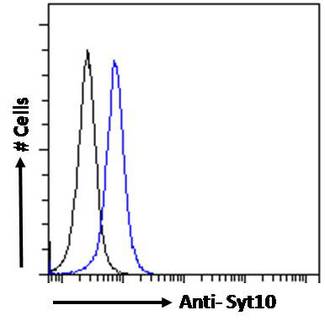 SYT10 / Synaptotagmin X Antibody - SYT10 / Synaptotagmin X antibody flow cytometric analysis of paraformaldehyde fixed NIH3T3 cells (blue line), permeabilized with 0.5% Triton. Primary incubation 1hr (10ug/ml) followed by Alexa Fluor 488 secondary antibody (1ug/ml). IgG control: Unimmunized goat IgG (black line) followed by Alexa Fluor 488 secondary antibody.