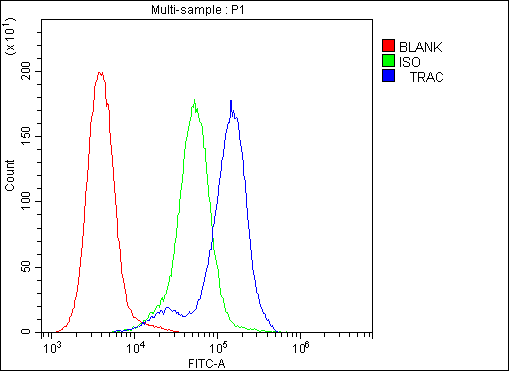 T Cell Receptor Alpha Constant Antibody - Flow Cytometry analysis of JK cells using anti-TCR alpha antibody. Overlay histogram showing JK cells stained with anti-TCR alpha antibody (Blue line). The cells were blocked with 10% normal goat serum. And then incubated with rabbit anti-TCR alpha Antibody (1µg/10E6 cells) for 30 min at 20°C. DyLight®488 conjugated goat anti-rabbit IgG (5-10µg/10E6 cells) was used as secondary antibody for 30 minutes at 20°C. Isotype control antibody (Green line) was rabbit IgG (1µg/10E6 cells) used under the same conditions. Unlabelled sample (Red line) was also used as a control.