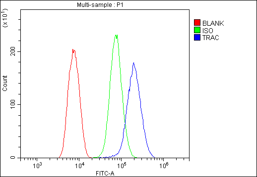 T Cell Receptor Alpha Constant Antibody - Flow Cytometry analysis of THP-1 cells using anti-TCR alpha antibody. Overlay histogram showing THP-1 cells stained with anti-TCR alpha antibody (Blue line). The cells were blocked with 10% normal goat serum. And then incubated with rabbit anti-TCR alpha Antibody (1µg/10E6 cells) for 30 min at 20°C. DyLight®488 conjugated goat anti-rabbit IgG (5-10µg/10E6 cells) was used as secondary antibody for 30 minutes at 20°C. Isotype control antibody (Green line) was rabbit IgG (1µg/10E6 cells) used under the same conditions. Unlabelled sample (Red line) was also used as a control.