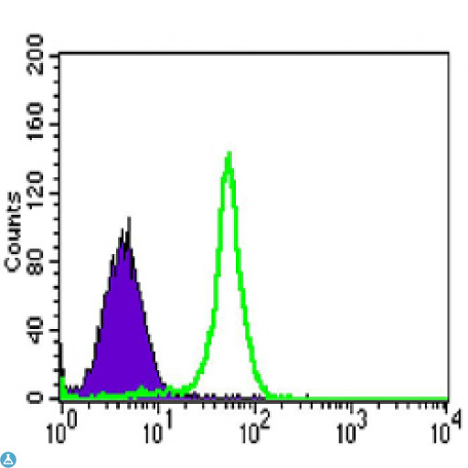 TAB2 Antibody - Flow cytometric (FCM) analysis of HL-60 cells using TAB2 Monoclonal Antibody (green) and negative control (purple).
