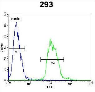 TAC1  Antibody - TAC1 Antibody flow cytometry of 293 cells (right histogram) compared to a negative control cell (left histogram). FITC-conjugated goat-anti-rabbit secondary antibodies were used for the analysis.