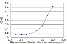 TAC3 / Tachykinin Antibody - Detection limit for recombinant GST tagged TAC3 is approximately 1 ng/ml as a capture antibody.
