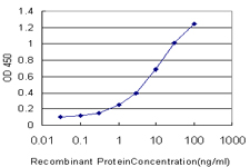 TACR1 / NK1R Antibody - Detection limit for recombinant GST tagged TACR1 is approximately 0.1 ng/ml as a capture antibody.