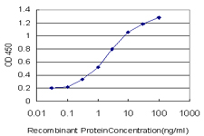 TADA2B Antibody - Detection limit for recombinant GST tagged MGC21874 is approximately 0.3 ng/ml as a capture antibody.
