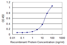 TAF12 Antibody - Detection limit for recombinant GST tagged TAF12 is 0.3 ng/ml as a capture antibody.