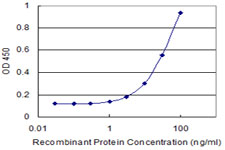 TAF13 Antibody - Detection limit for recombinant GST tagged TAF13 is 1 ng/ml as a capture antibody.