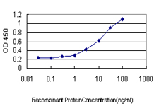 TAF7 Antibody - Detection limit for recombinant GST tagged TAF7 is approximately 0.3 ng/ml as a capture antibody.