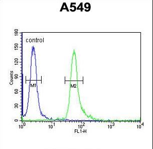 TAGAP Antibody - TAGAP Antibody flow cytometry of A549 cells (right histogram) compared to a negative control cell (left histogram). FITC-conjugated goat-anti-rabbit secondary antibodies were used for the analysis.