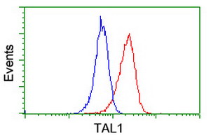 TAL1 Antibody - Flow cytometry of Jurkat cells, using anti-TAL1 antibody (Red), compared to a nonspecific negative control antibody (Blue).