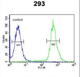 TAMM41 / C3orf31 Antibody - C3orf31 Antibody flow cytometry of 293 cells (right histogram) compared to a negative control cell (left histogram). FITC-conjugated goat-anti-rabbit secondary antibodies were used for the analysis.