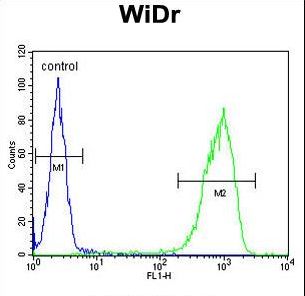 TANK Antibody - TANK Antibody flow cytometry of WiDr cells (right histogram) compared to a negative control cell (left histogram). FITC-conjugated goat-anti-rabbit secondary antibodies were used for the analysis.