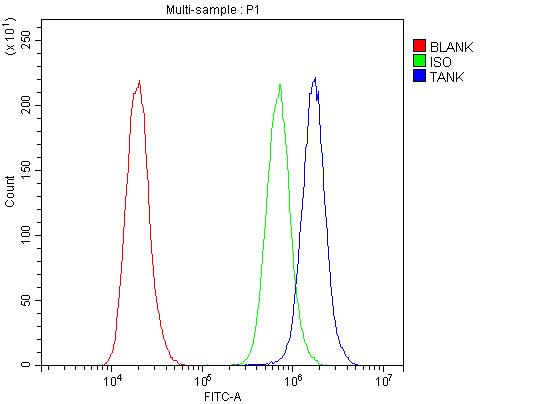 TANK Antibody - Flow Cytometry analysis of A431 cells using anti-TANK antibody. Overlay histogram showing A431 cells stained with anti-TANK antibody (Blue line). The cells were blocked with 10% normal goat serum. And then incubated with rabbit anti-TANK Antibody (1µg/10E6 cells) for 30 min at 20°C. DyLight®488 conjugated goat anti-rabbit IgG (5-10µg/10E6 cells) was used as secondary antibody for 30 minutes at 20°C. Isotype control antibody (Green line) was rabbit IgG (1µg/10E6 cells) used under the same conditions. Unlabelled sample (Red line) was also used as a control.