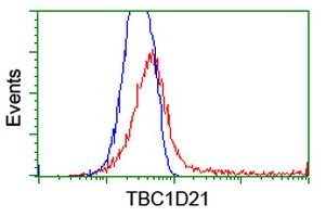TBC1D21 Antibody - HEK293T cells transfected with either overexpress plasmid (Red) or empty vector control plasmid (Blue) were immunostained by anti-TBC1D21 antibody, and then analyzed by flow cytometry.
