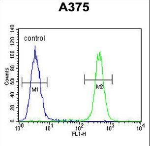 TBC1D32 / C6orf170 Antibody - C6orf170 Antibody flow cytometry of A375 cells (right histogram) compared to a negative control cell (left histogram). FITC-conjugated goat-anti-rabbit secondary antibodies were used for the analysis.