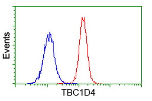 TBC1D4 / AS160 Antibody - Flow cytometry of Jurkat cells, using anti-TBC1D4 antibody (Red), compared to a nonspecific negative control antibody (Blue).
