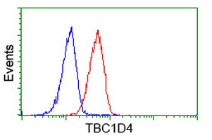 TBC1D4 / AS160 Antibody - Flow cytometry of HeLa cells, using anti-TBC1D4 antibody (Red), compared to a nonspecific negative control antibody (Blue).